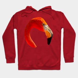 Graceful Flamingo Hoodie